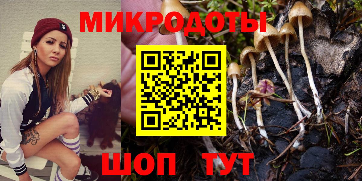 Галлюциногенные грибы GOLDEN TEACHER  Вход с VPN  Усть-Илимск 